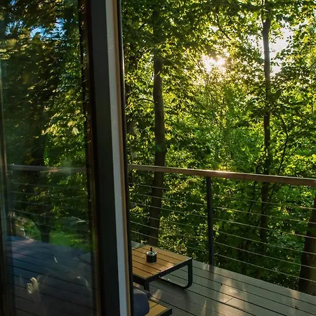 Apartment La Munte Bran *